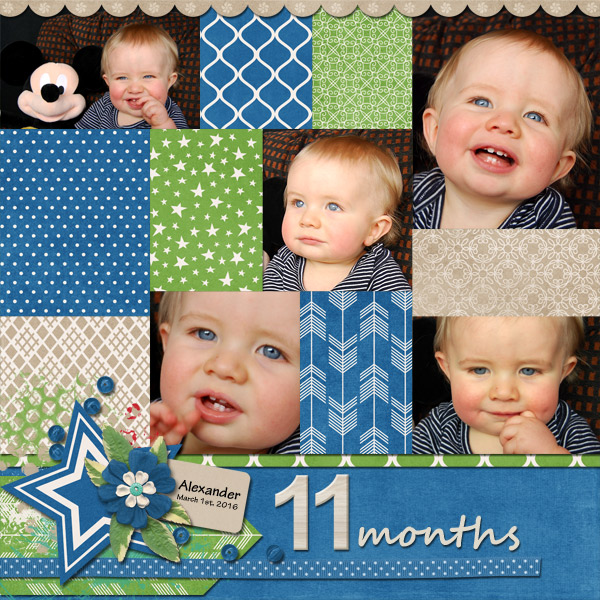 11 Months