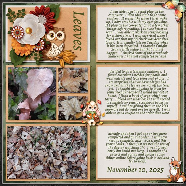 11-November 10, 2025 small.jpg