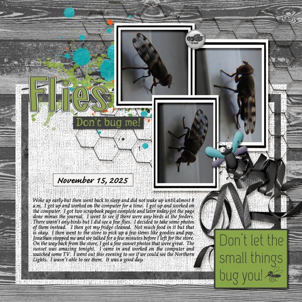 11-November 15, 2025 small.jpg