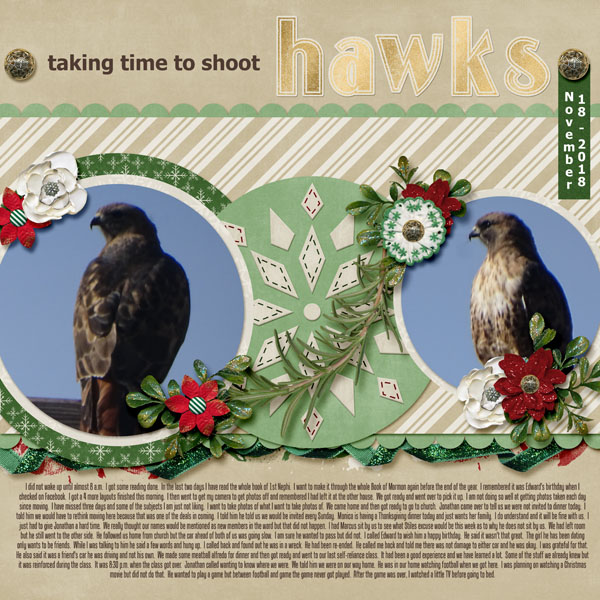11-November_Christmas_Joy