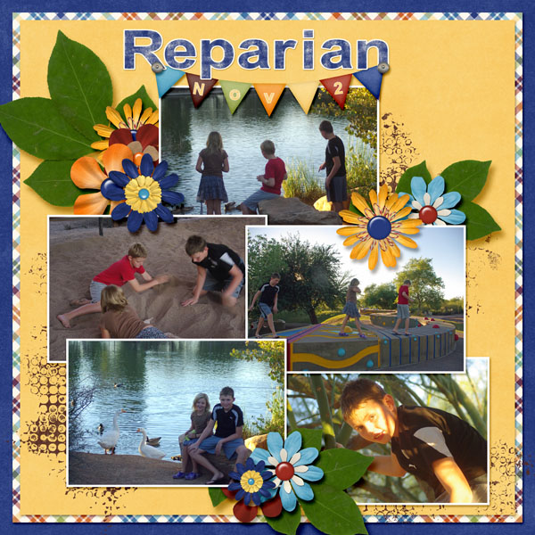 11-November_reparian_2015_small
