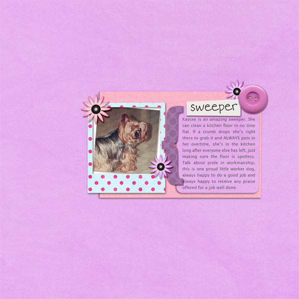 110-06-11-Sweeper