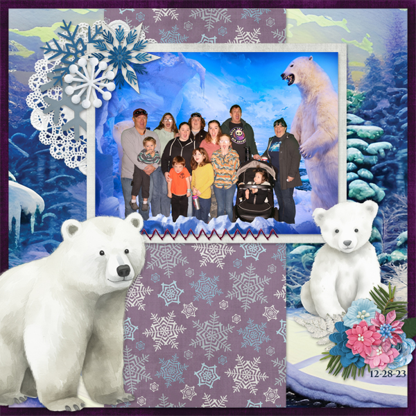 12-28-23polarbear