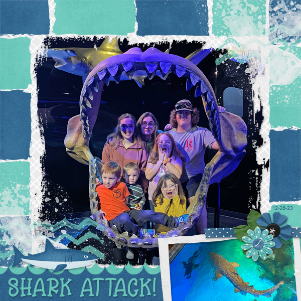 12-28-23sharkattack