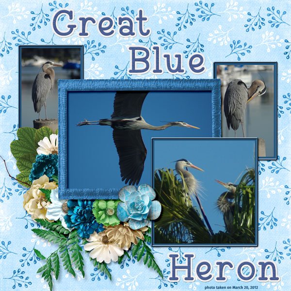 12-3-Great Blue Heron small.jpg