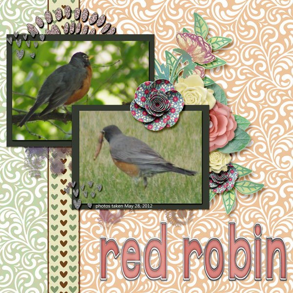 12-5-Red Robin small.jpg