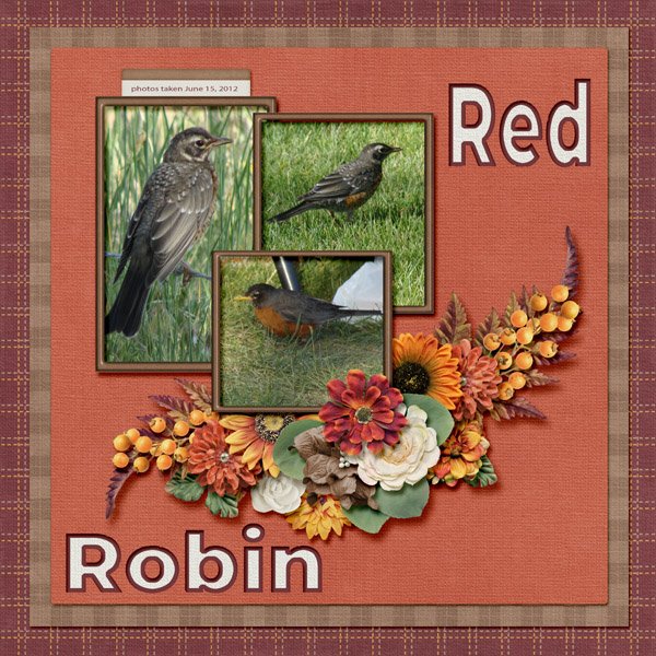 12-6-Red Robin small.jpg