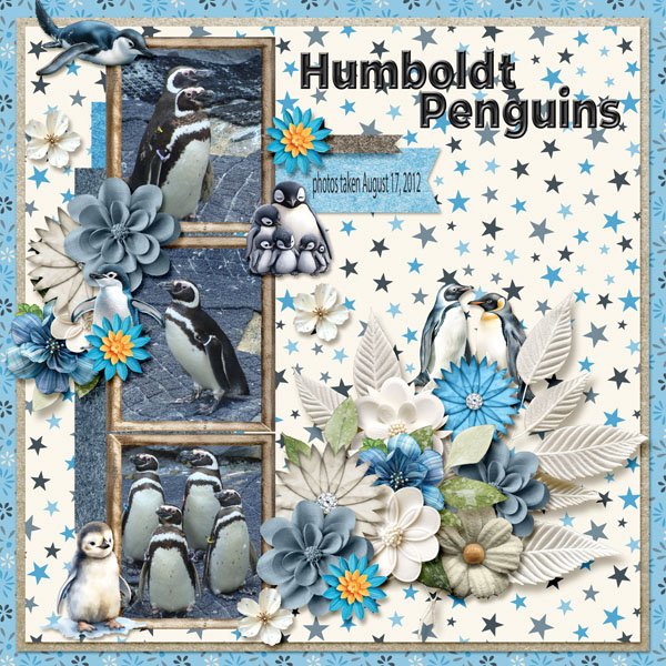 12-8-Humboldt Penguins small.jpg