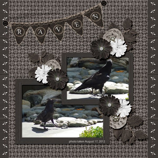 12-8-Raven small.jpg