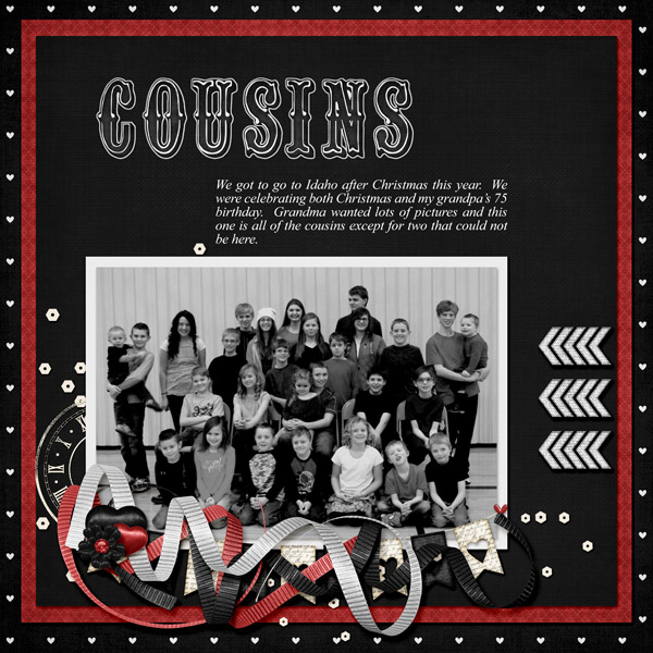 12-Cousins_2015_small