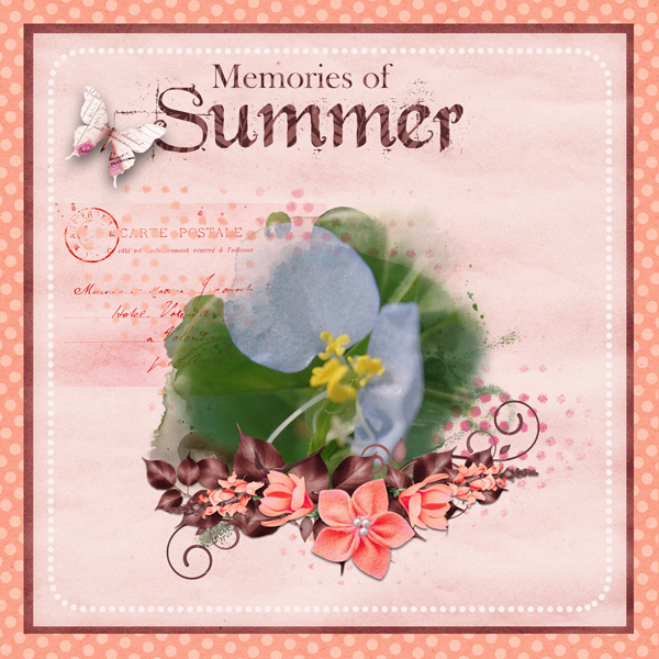 12-daily-download2