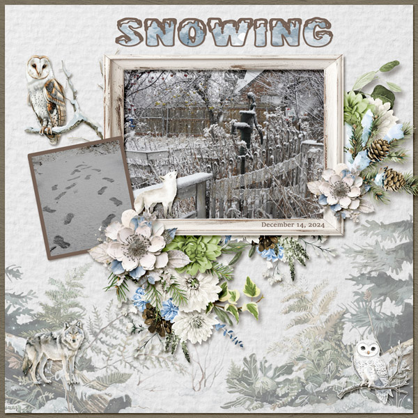 12-December_14_2024_small