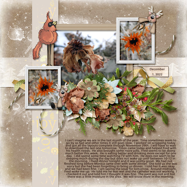12-December_1_2022_small