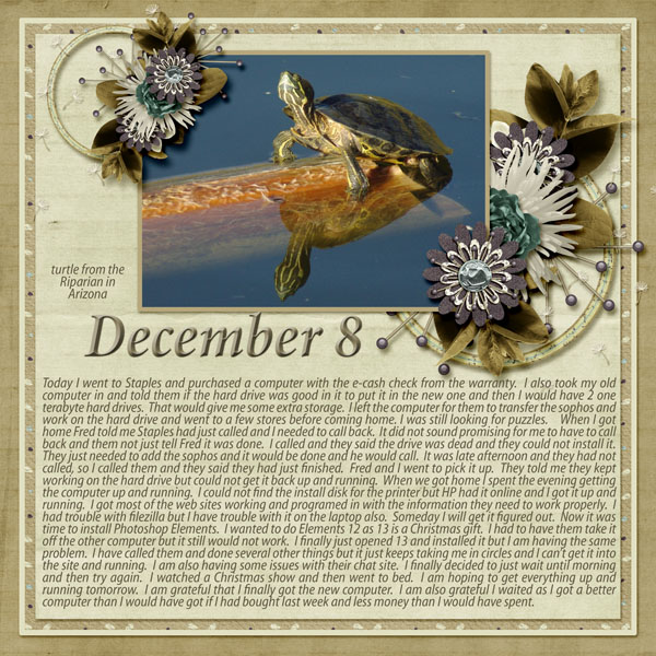 12-December_8_2014_small