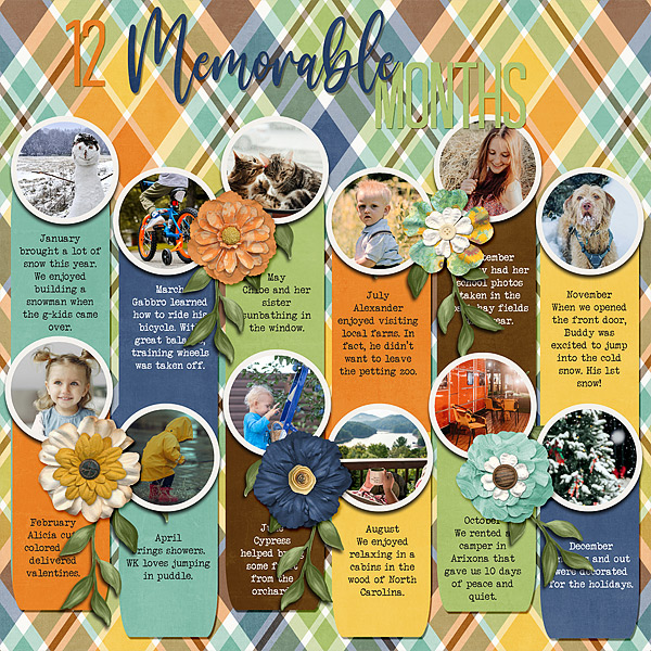12 Memorable Months