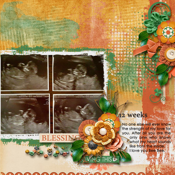 12 Weeks