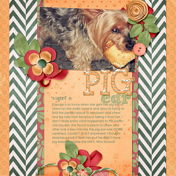 126-09-12-PigByCFALBRO