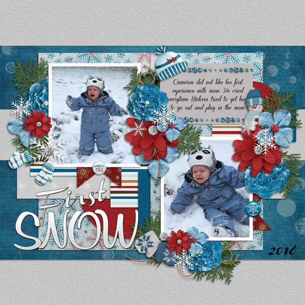12_Cameron-Snow