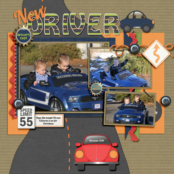 12_Driving