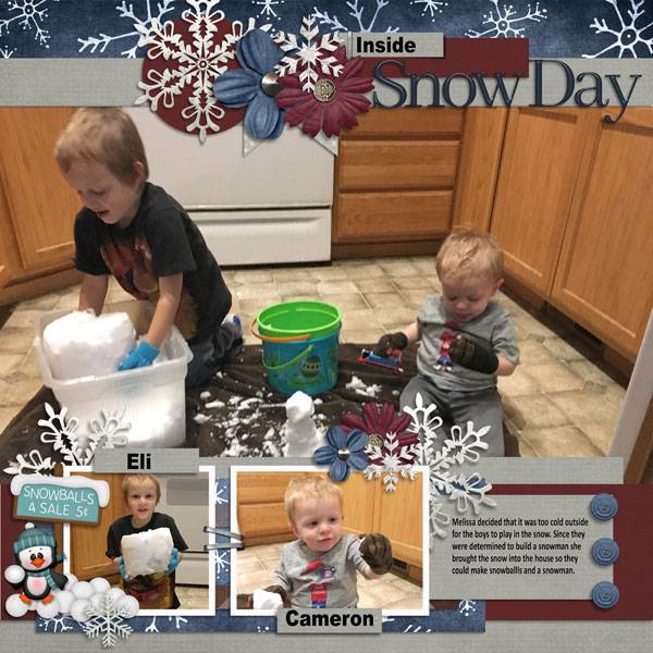 12_snow-in-the-house