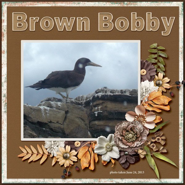 13-6-Brown Bobby small.jpg