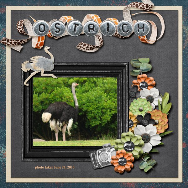 13-6-Ostrich small.jpg