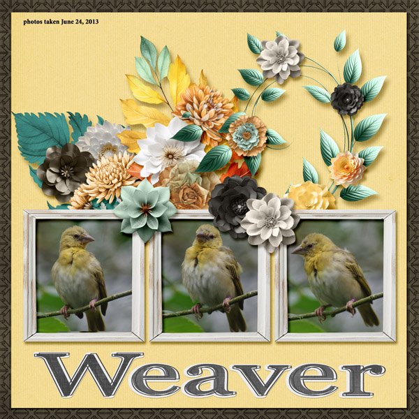 13-6-Weaver small.jpg