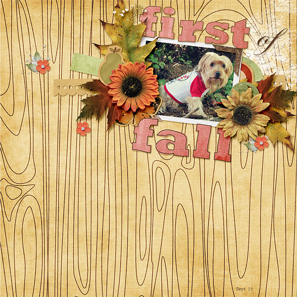 133-09-12-FallByCFALBRO