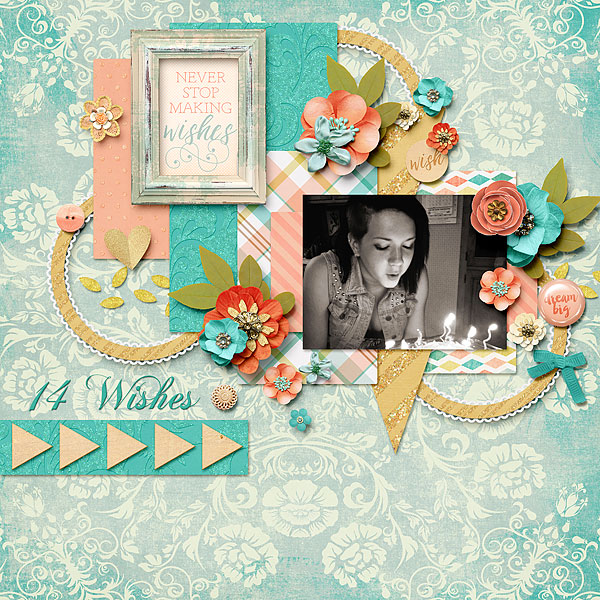 14 Wishes