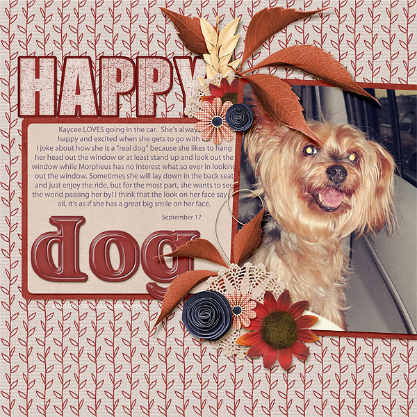 147-10-12-HappyDogByCFALBRO