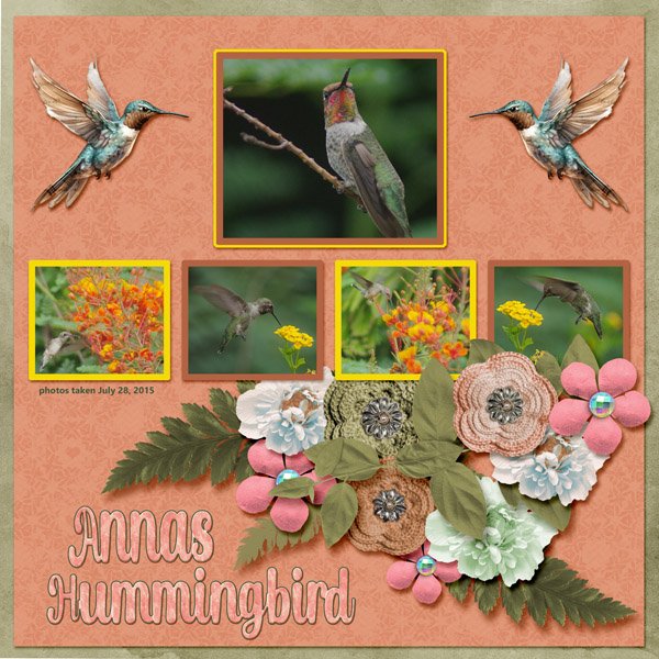 15-7-Annas Hummingbird small.jpg