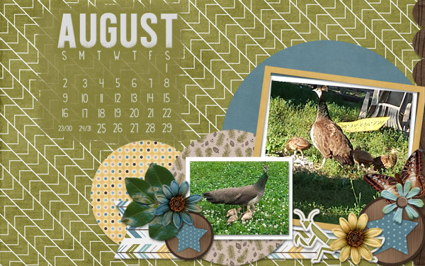 15 Aug cal