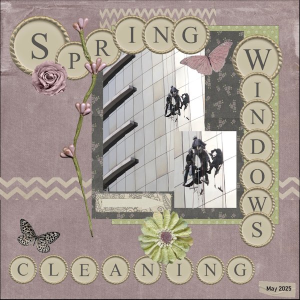 -15 - May 2025 Bingo Challenge-Spring cleaning windows.jpg