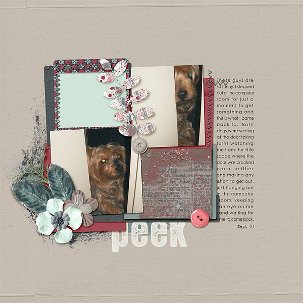 154-11-12-PeekByCFALBRO