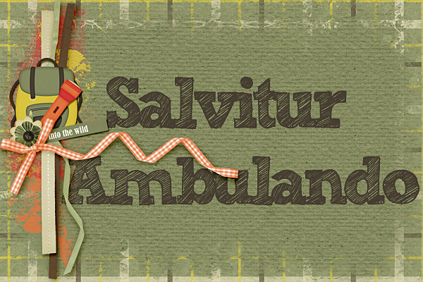 156-11-12-SalviturAmbulandoByCFALBRO