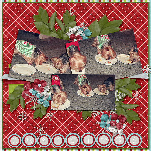 159-12-12-ChristmasByCFALBRO