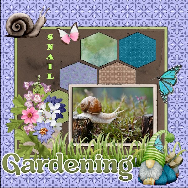 15e-August 2025 Template Challenge #1-SNAIL.jpg