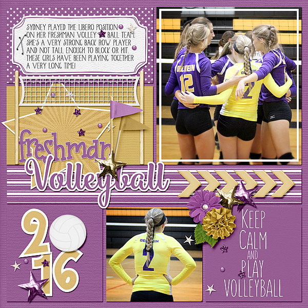 16-17 Volleyball