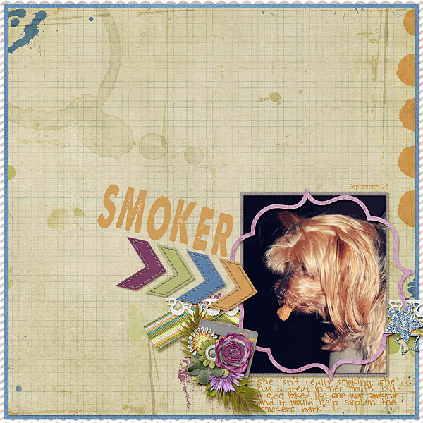 161-12-12-SmokerByCFALBRO