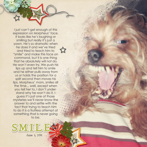 169-08-11-SmileByCFALBRO