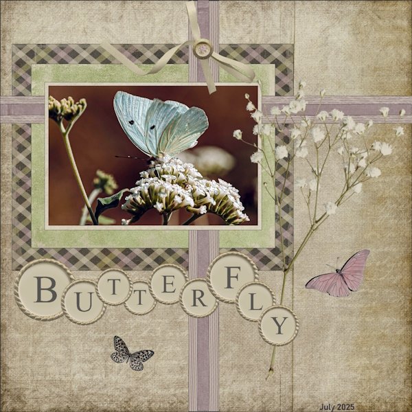 16th-July 2025-3th-Layout Bingo Challenge-Butterfly-.jpg