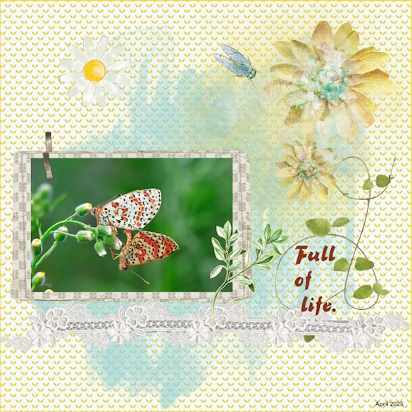 17 - April 2025 Inspiration Challenge - full of life.jpg