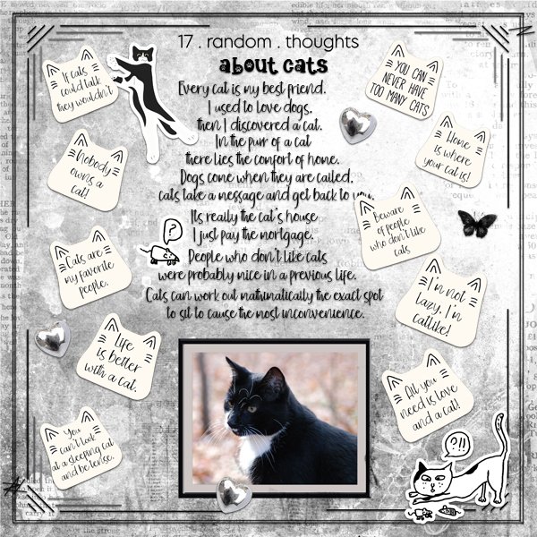 17RandomThoughtsAbout-Cats!.jpg