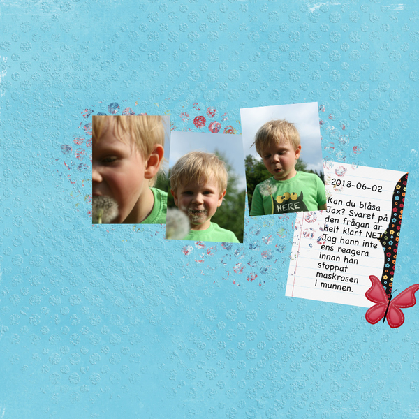 180602 Jax and dandelion