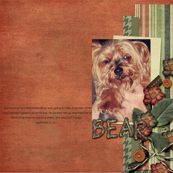 187-09-11-BearByCFALBRO