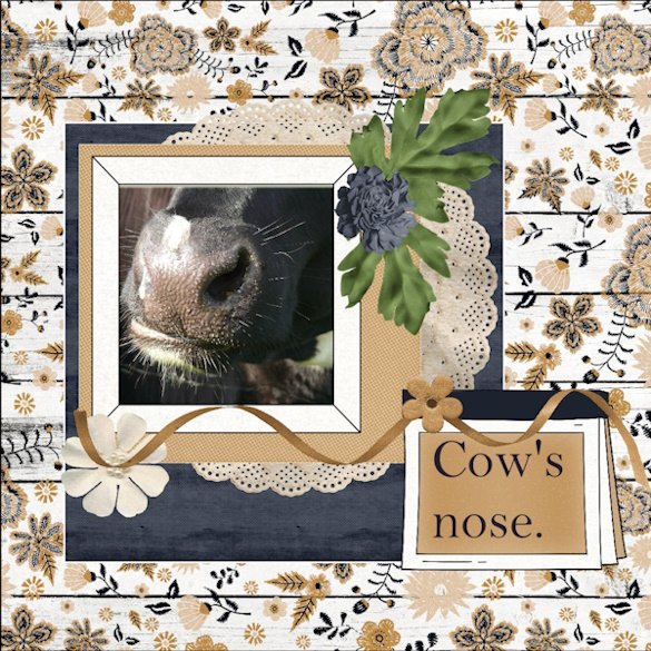 18e-August 2025 -Use it All -Cow's nose.jpg