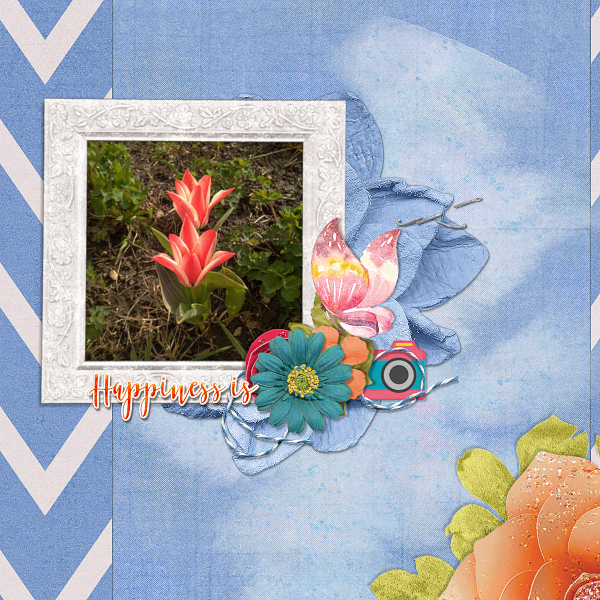 19-09-createdwithrewards-small