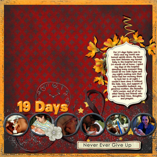 19 Days