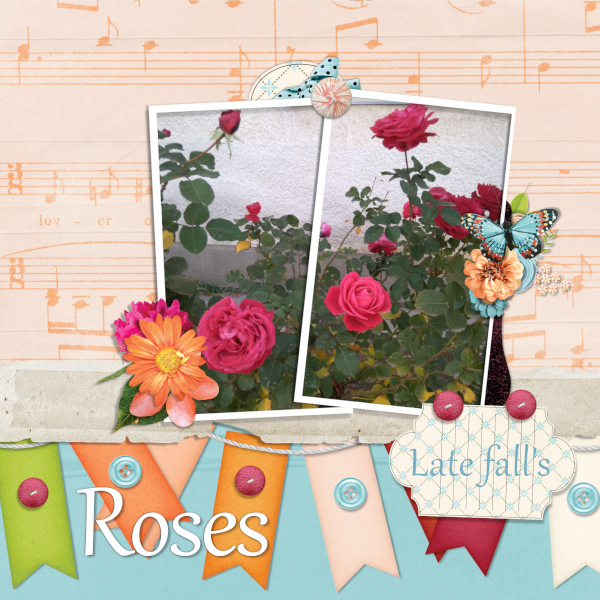19-dsd-scraplift-small