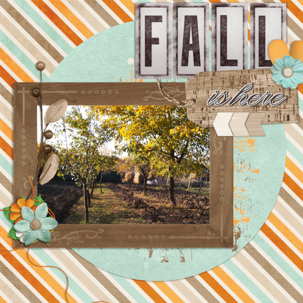 19-dsd-titlechallenge-small